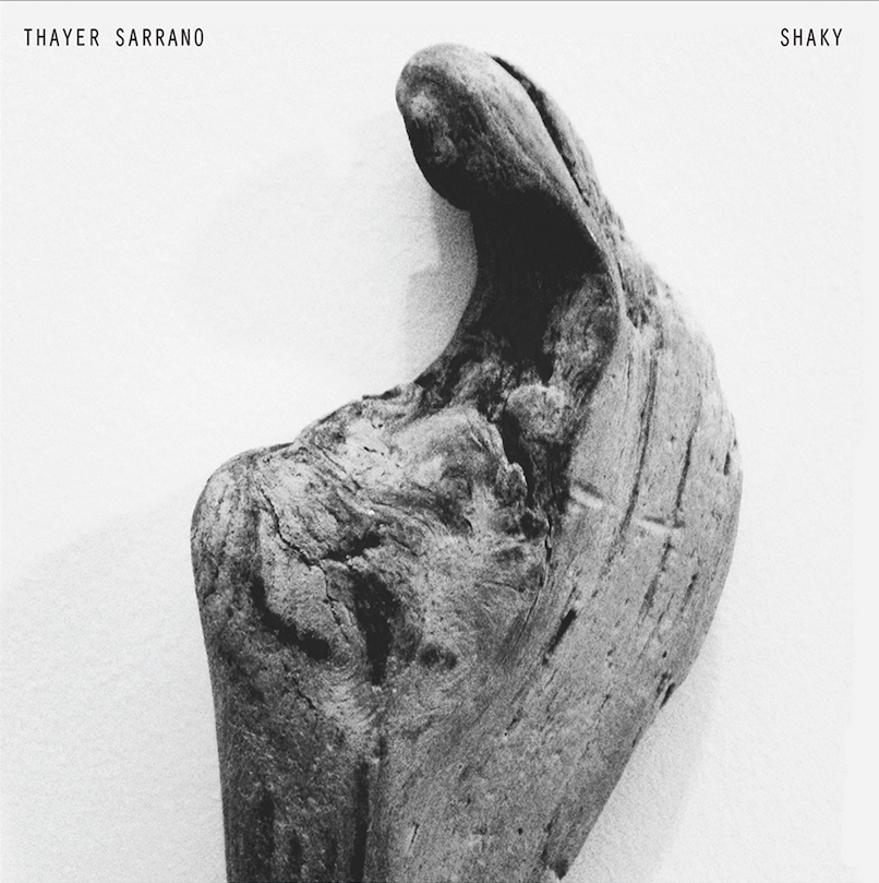 Thayer Sarrano - Pop Matters