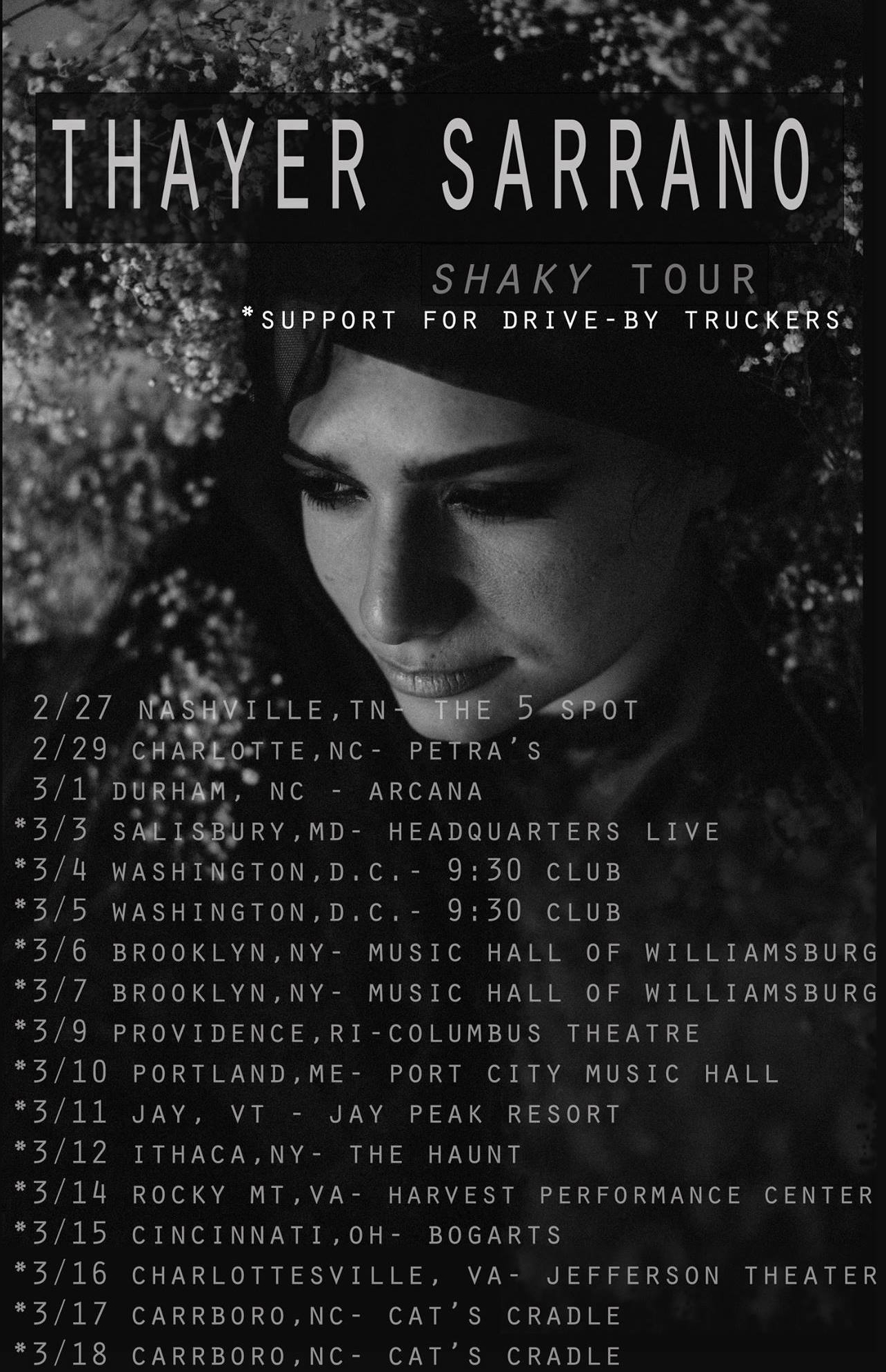 Shaky Tour Poster